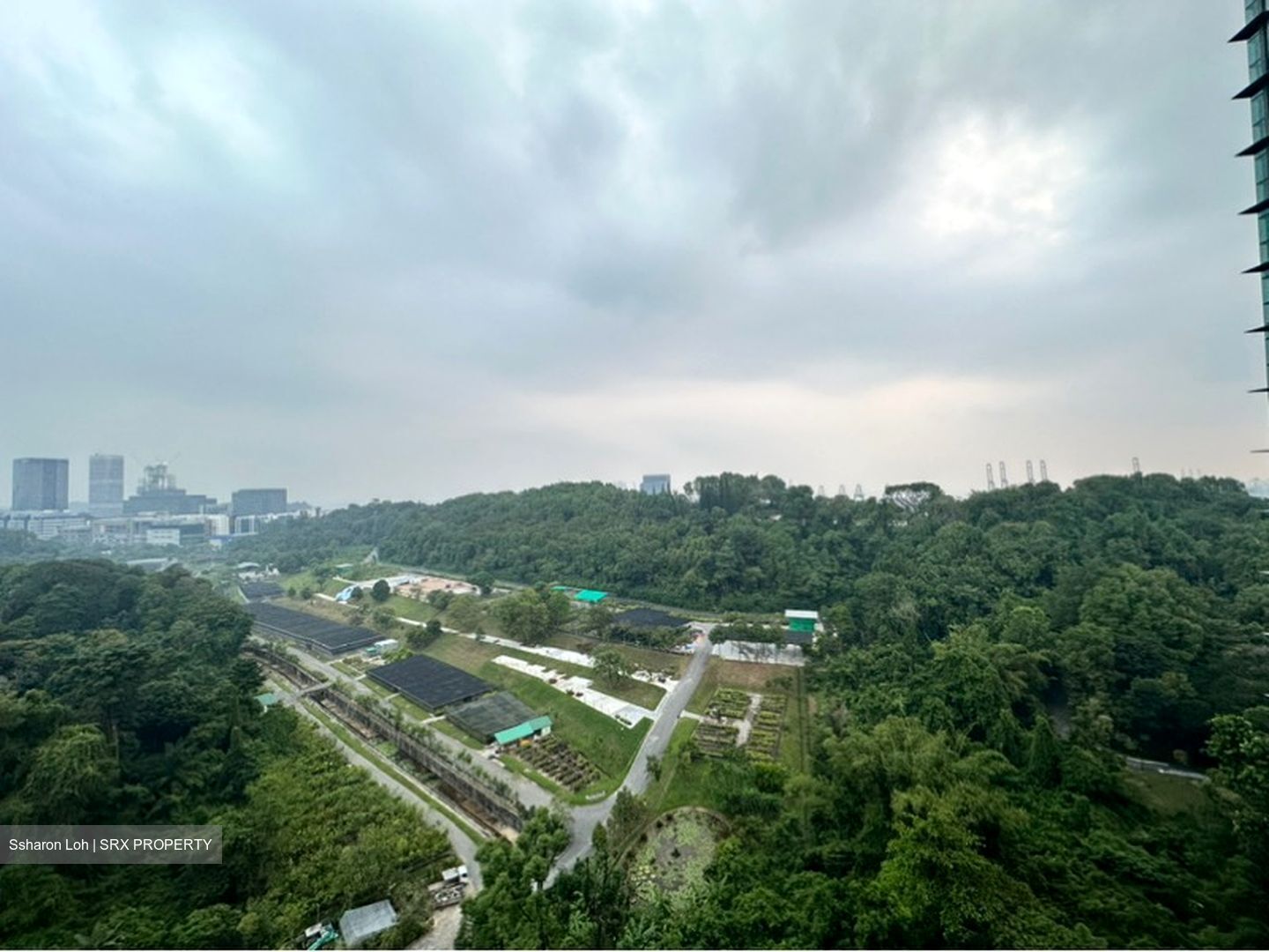Normanton Park (D5), Apartment #598730471